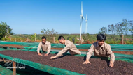 Viet Nam, New Zealand seek new impetus for trade ties